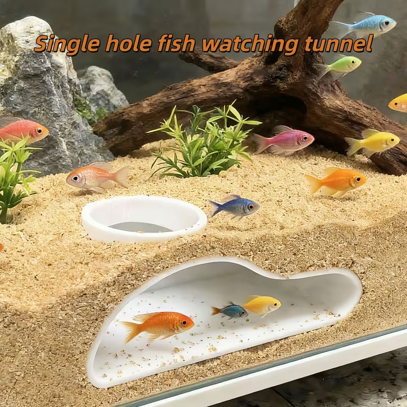Aquarium Plant Seeds - Apcarium Fish Tunnel Hideout | Natural