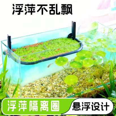 Aquarium Plant Seeds - Feeding Duckweed Isolation Ring Aquatic Plant