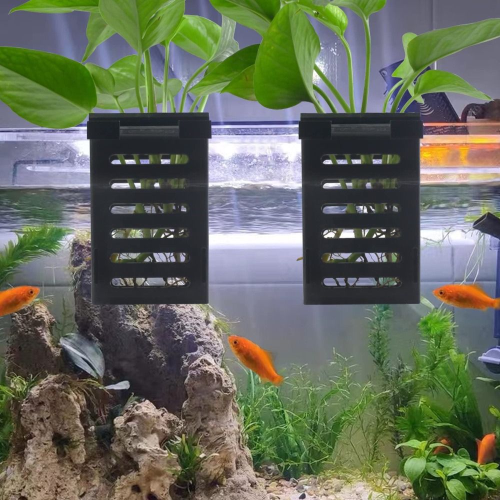 Water Plant Landscape Aquarium - Emersed Plants Aquarium review and price