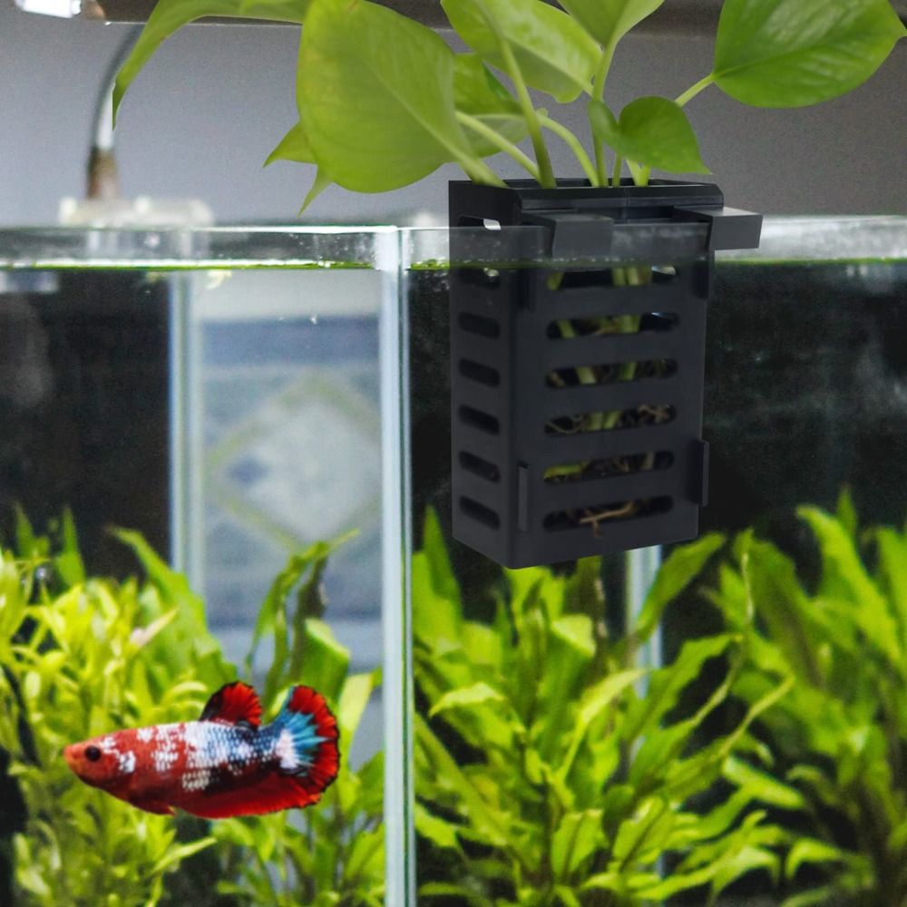 Water Plant Landscape Aquarium - Emersed Plants Aquarium review and price
