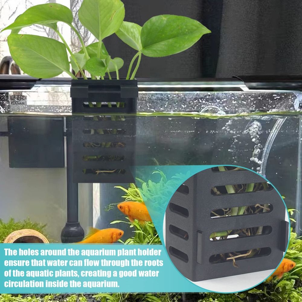 Aquarium Fish Tank Plant Holde - Emersed Plants Aquarium review and price