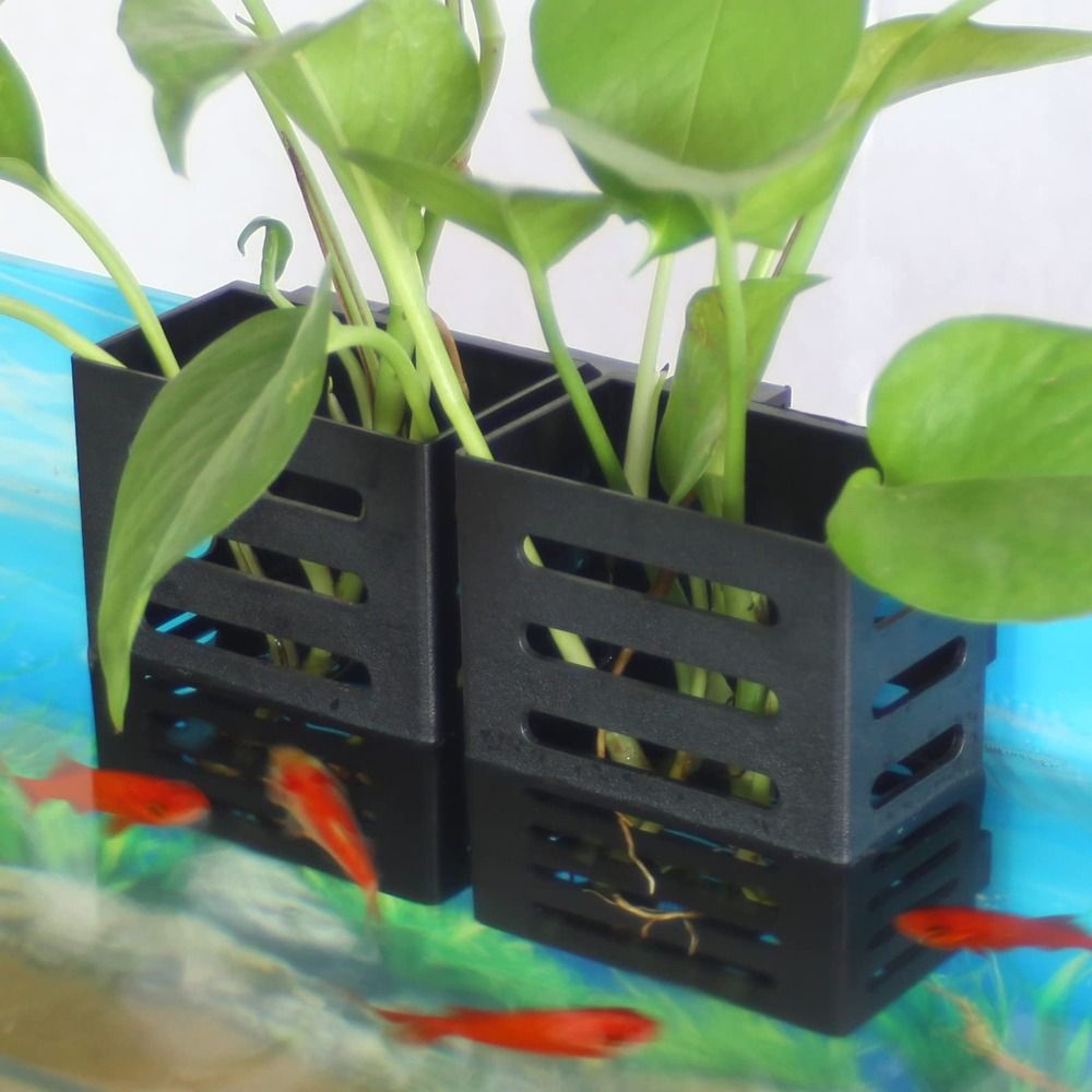 Water Plant Landscape Aquarium - Emersed Plants Aquarium review and price