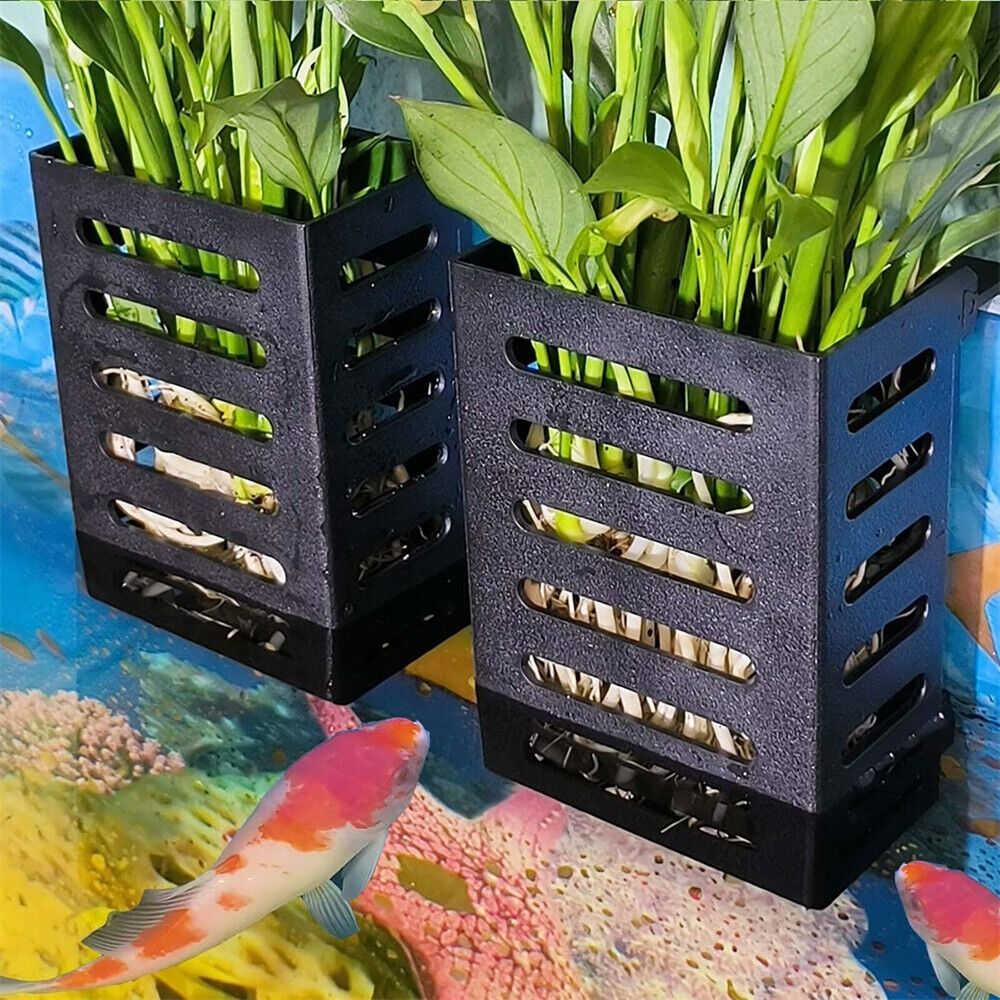 Water Plant Landscape Aquarium - Emersed Plants Aquarium review and price