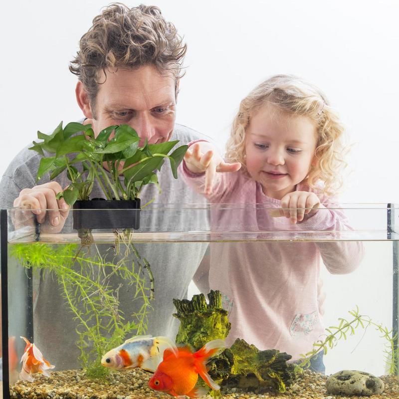 Hanging Aquarium Plant Holder  - Emersed Plants Aquarium review and price