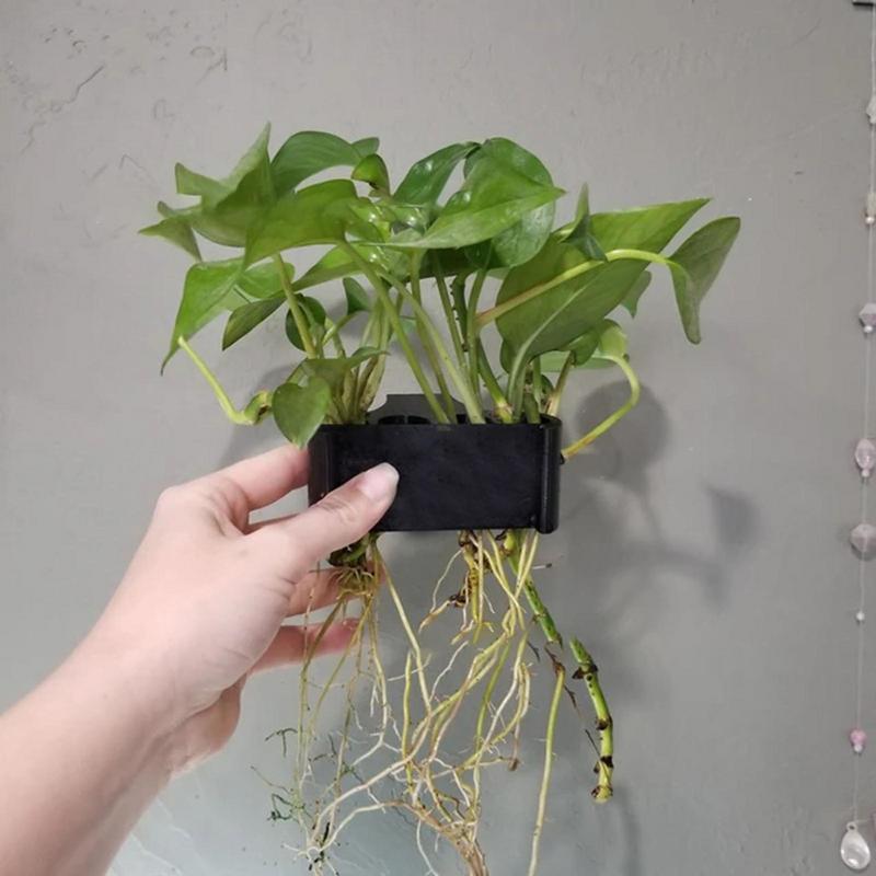 Hanging Aquarium Plant Holder  - Emersed Plants Aquarium review and price