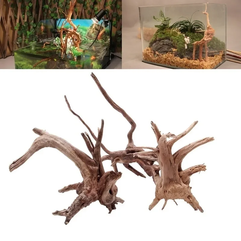 Natural Tree Trunk Driftwood A - Aquarium Planted Soil review and price