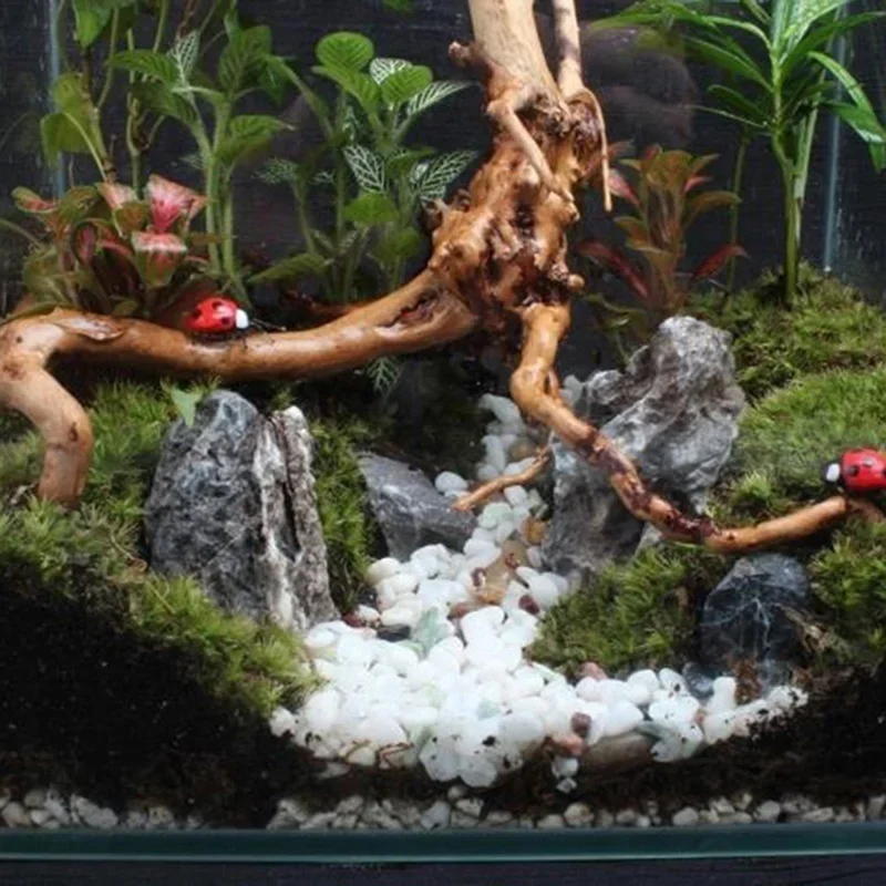 Natural Tree Trunk Driftwood A - Aquarium Planted Soil review and price