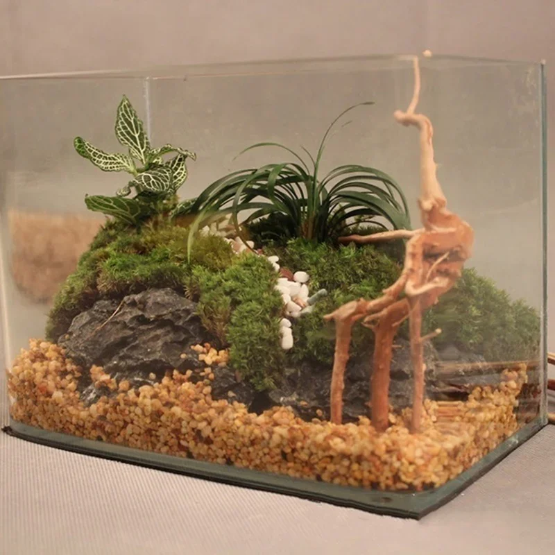 Natural Tree Trunk Driftwood A - Aquarium Planted Soil review and price