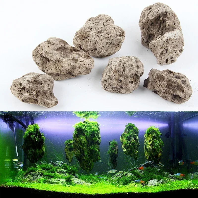 3pcs/lot Avatar Floating Real  - Aquarium Plants For Sale review and price