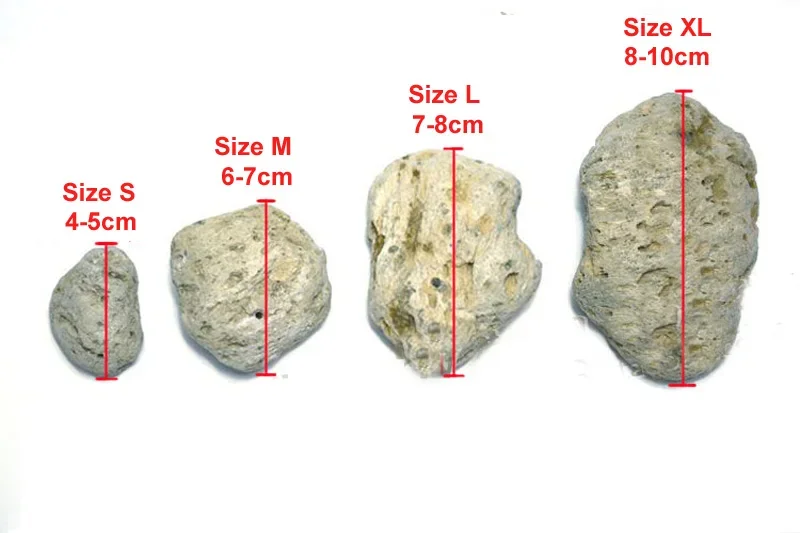 3pcs/lot Avatar Floating Real  - Aquarium Plants For Sale review and price