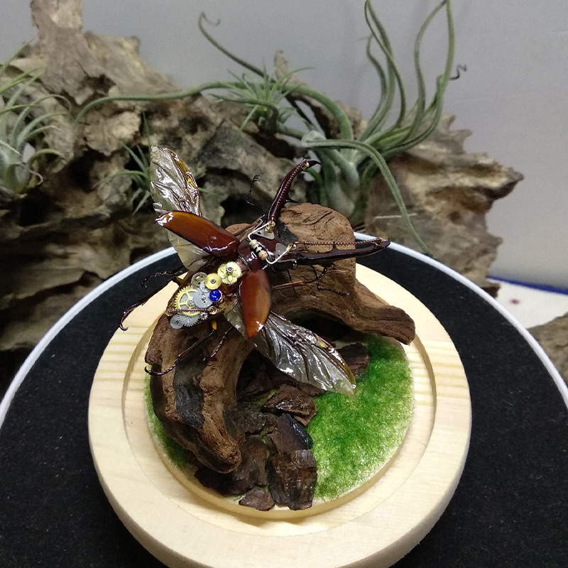 Hot Selling New Fish Tank Deco - Aquarium Planted Soil review and price