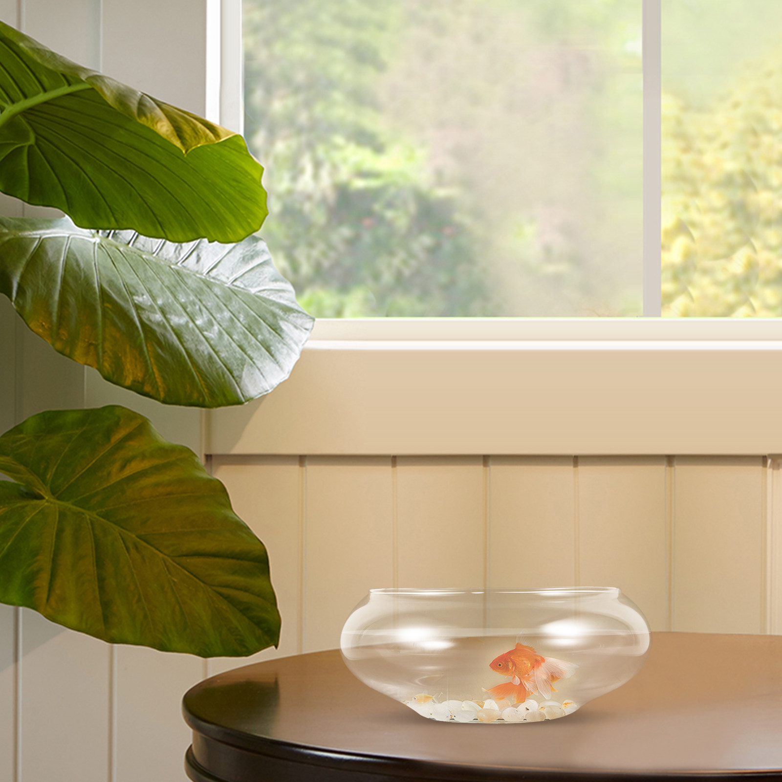 Clear Glass Fish Bowl Round De - Planted Aquarium For Goldfish review and price