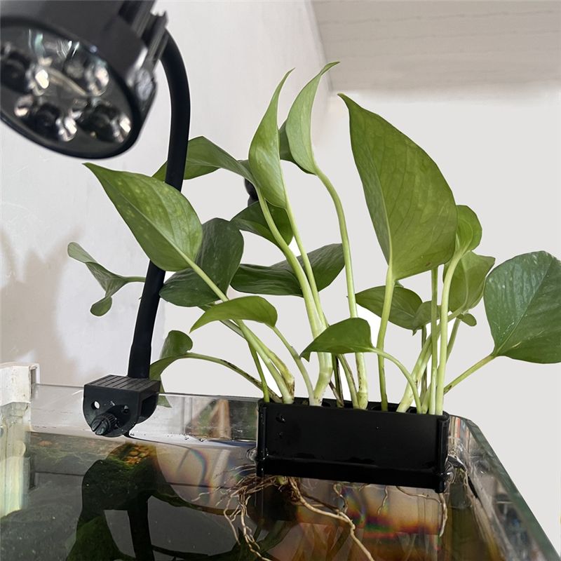 ABUN 2PCS Aquarium Plant Holde - Emersed Plants Aquarium review and price