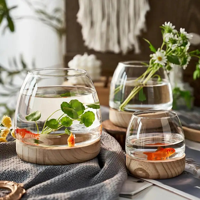 Decorative Round Glass Fish Ta - Planted Aquarium For Goldfish review and price