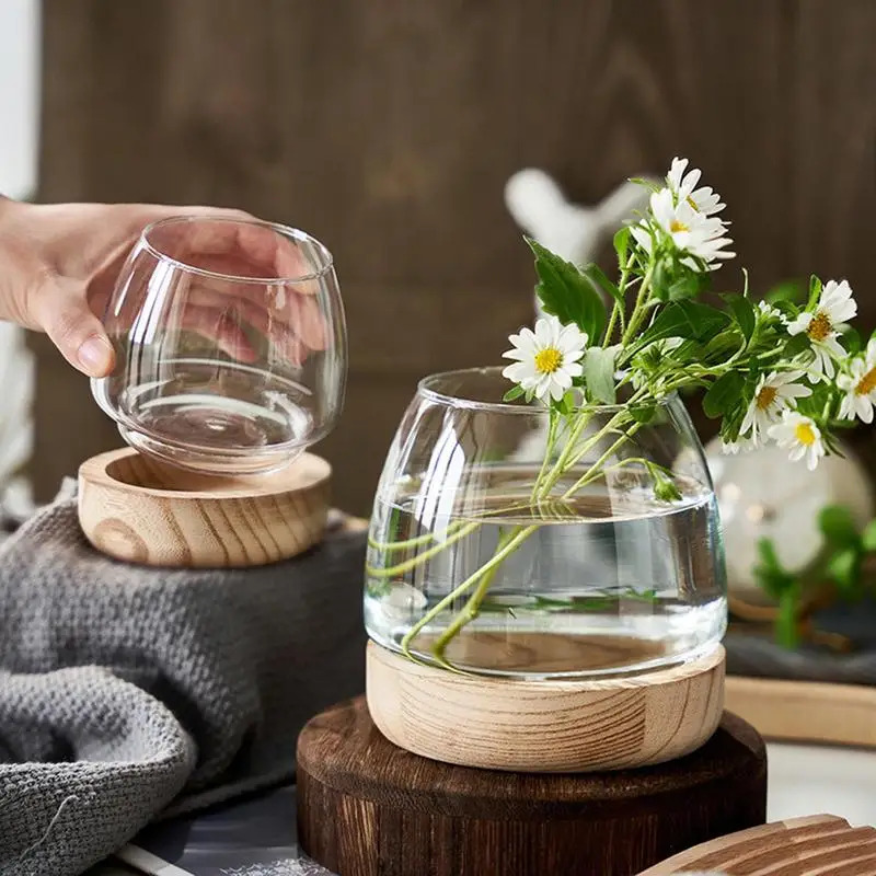 Decorative Round Glass Fish Ta - Planted Aquarium For Goldfish review and price
