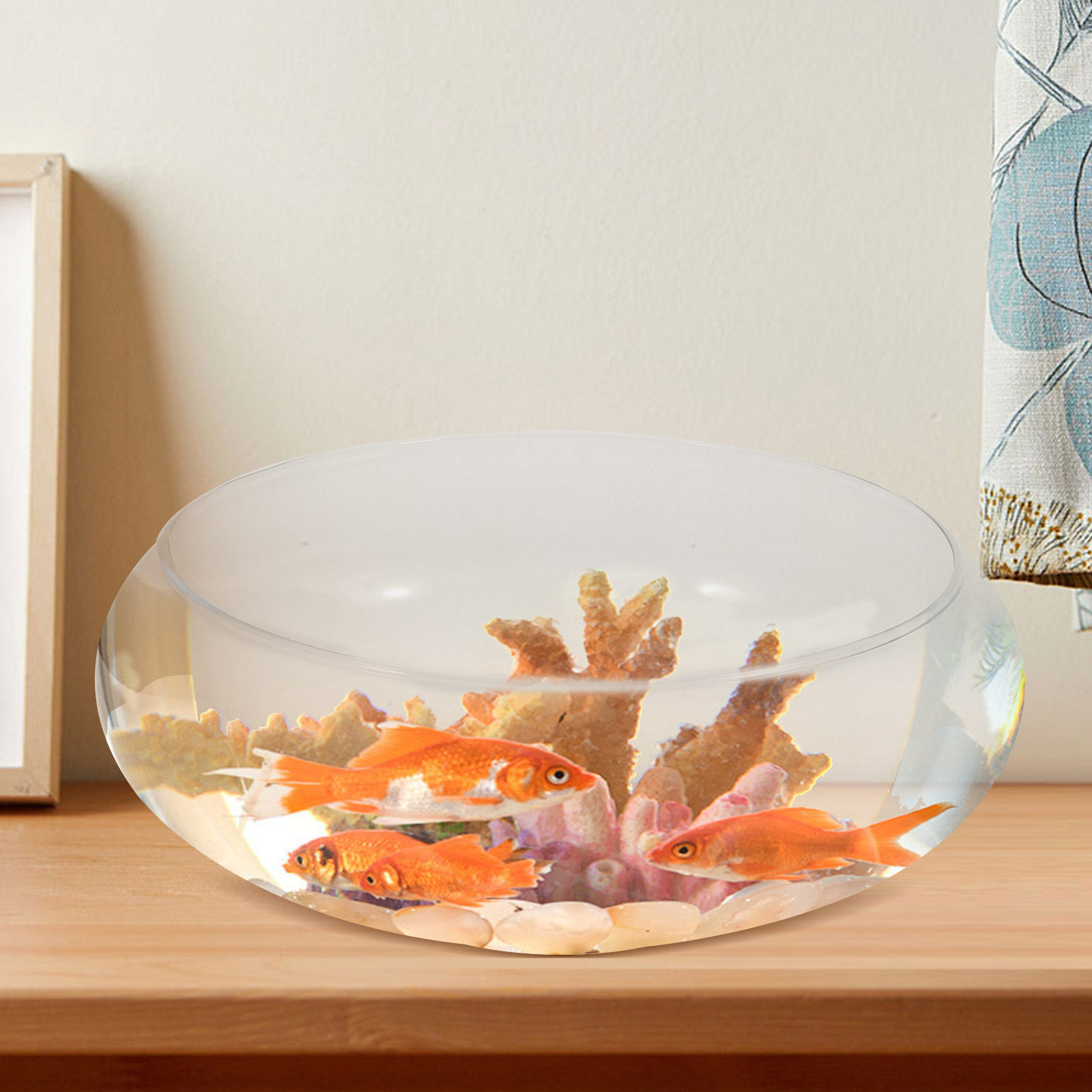 Premium Transparent Glass Fish - Planted Aquarium For Goldfish review and price