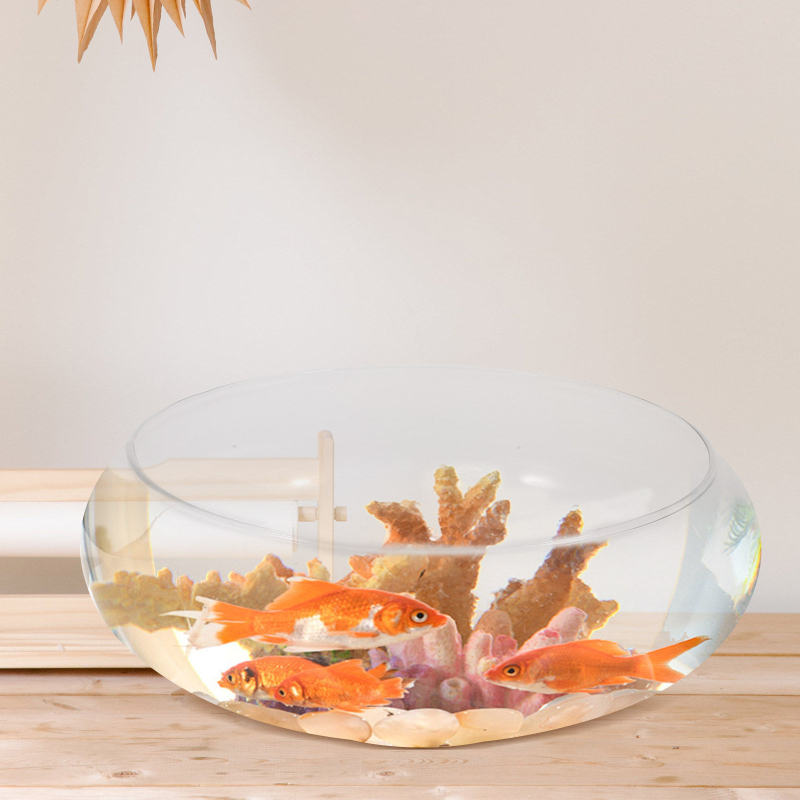 Premium Transparent Glass Fish - Planted Aquarium For Goldfish review and price