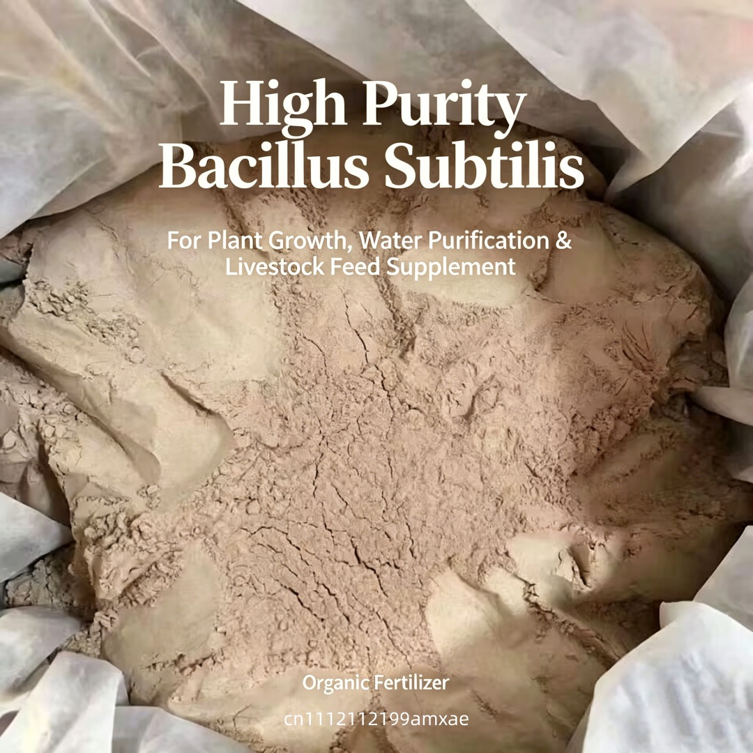 High Activity Bacillus Subtili - Aquarium Planted Soil review and price