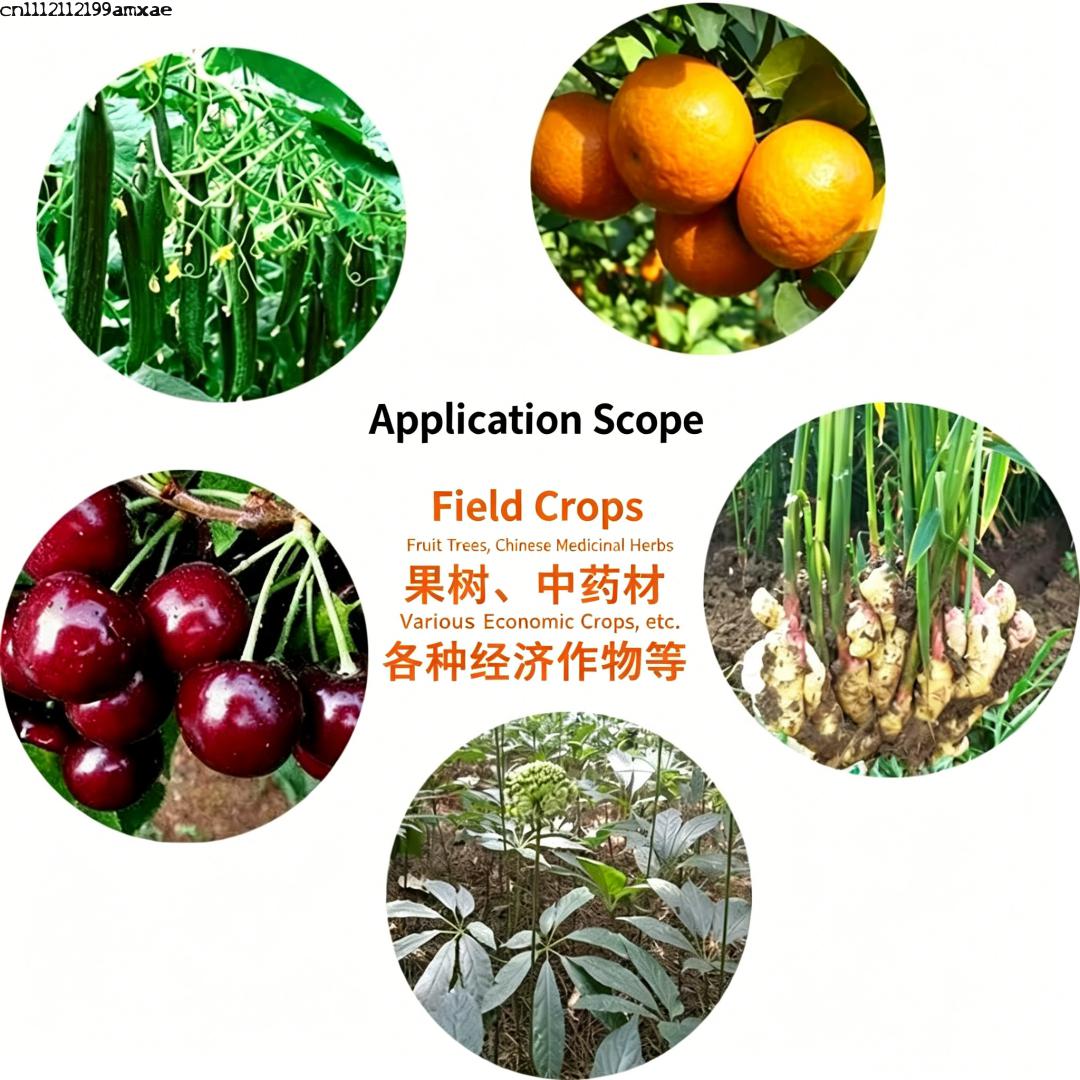 High Activity Bacillus Subtili - Aquarium Planted Soil review and price