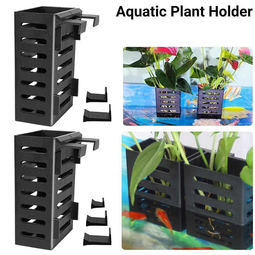 Hydroponic Aquarium Glass Plan - Emersed Plants Aquarium review and price