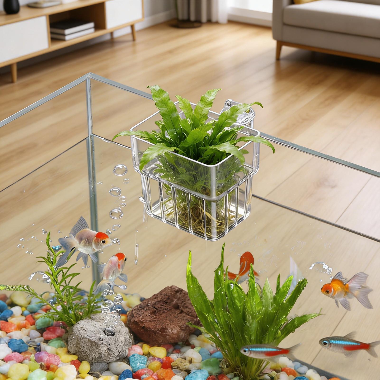Transparent Hangable Aquarium  - Aquarium Plant Seeds review and price