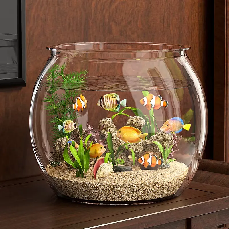 High Quality Compact Clear Pla - Planted Aquarium For Goldfish review and price