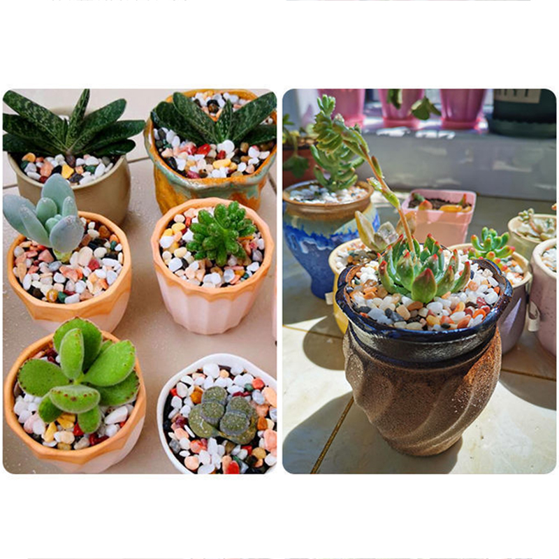 Fish Tank Bottom Sand DIY Acce - Aquarium Planted Soil review and price