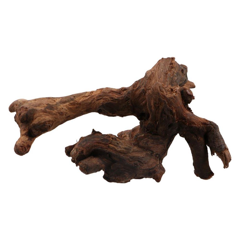 Creative Irregular Shape Coral - Aquarium Planted Soil review and price