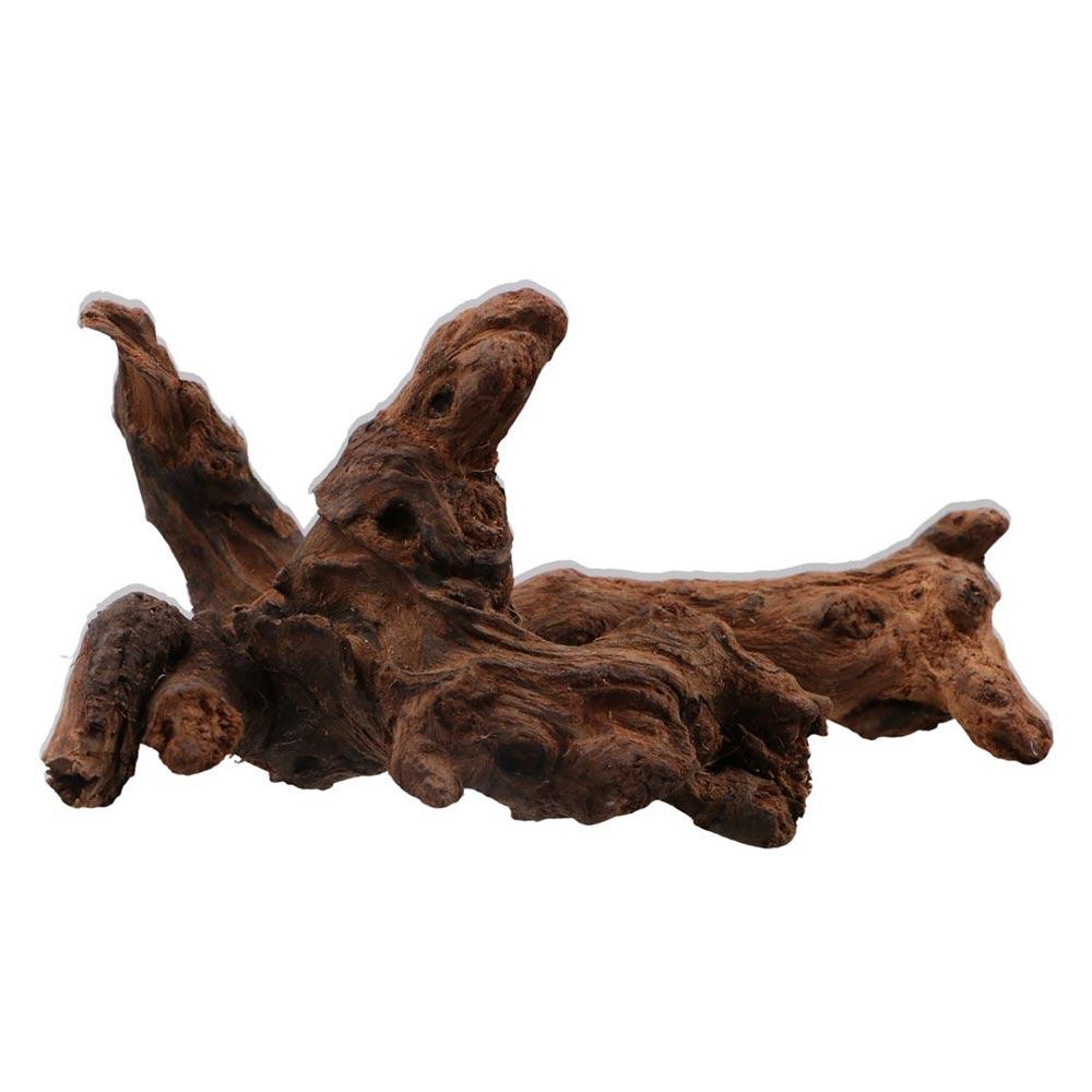 Creative Irregular Shape Coral - Aquarium Planted Soil review and price