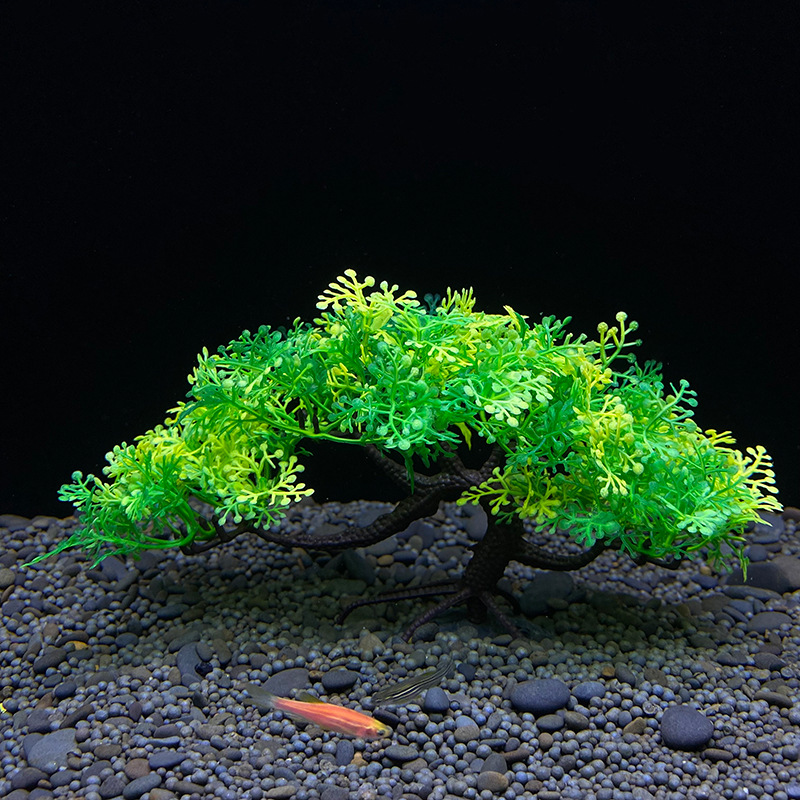 Aquarium Bonsai Tree, Plant, F - Planted Aquarium For Goldfish review and price