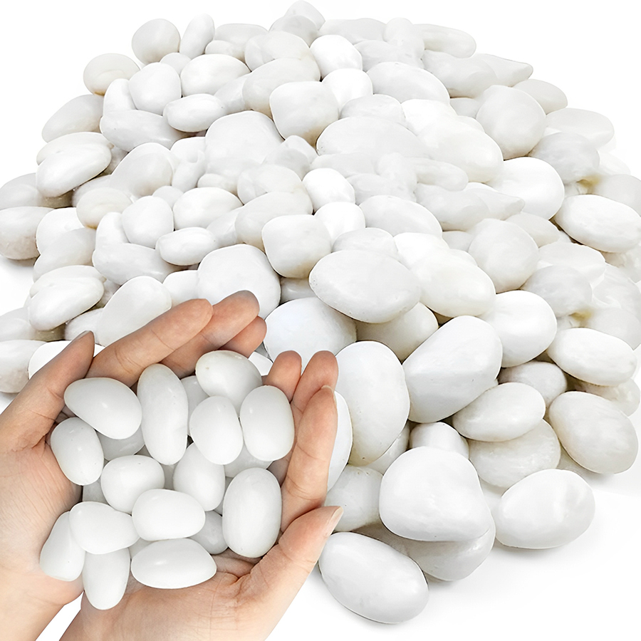 1/2Lb White Polished Aquarium  - Aquarium Planted Soil review and price