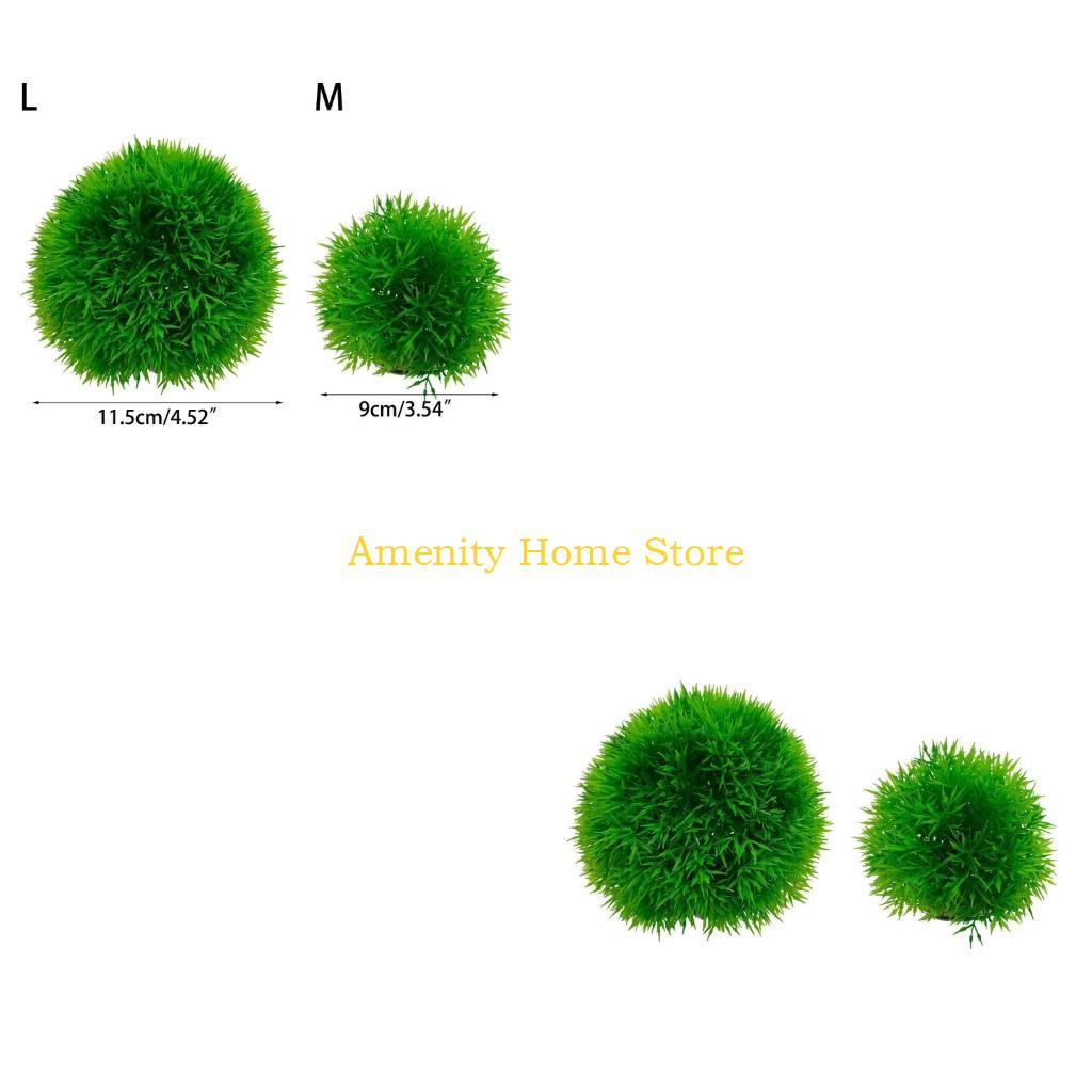F26C Aquatic Plants Marimo for - Aquarium Plant Seeds review and price