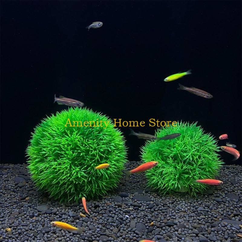 F26C Aquatic Plants Marimo for - Aquarium Plant Seeds review and price