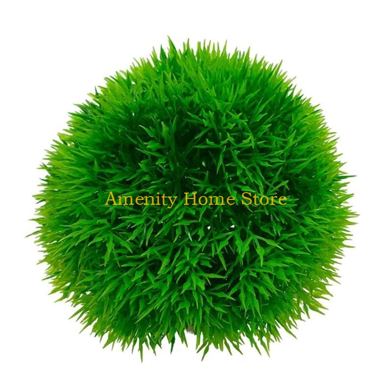 F26C Aquatic Plants Marimo for - Aquarium Plant Seeds review and price
