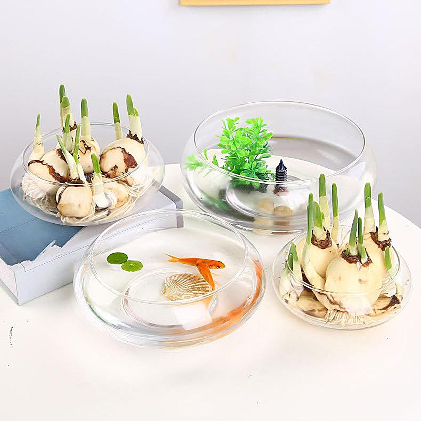 Fish Glass Bowl Glass Large Hy - Planted Aquarium For Goldfish review and price