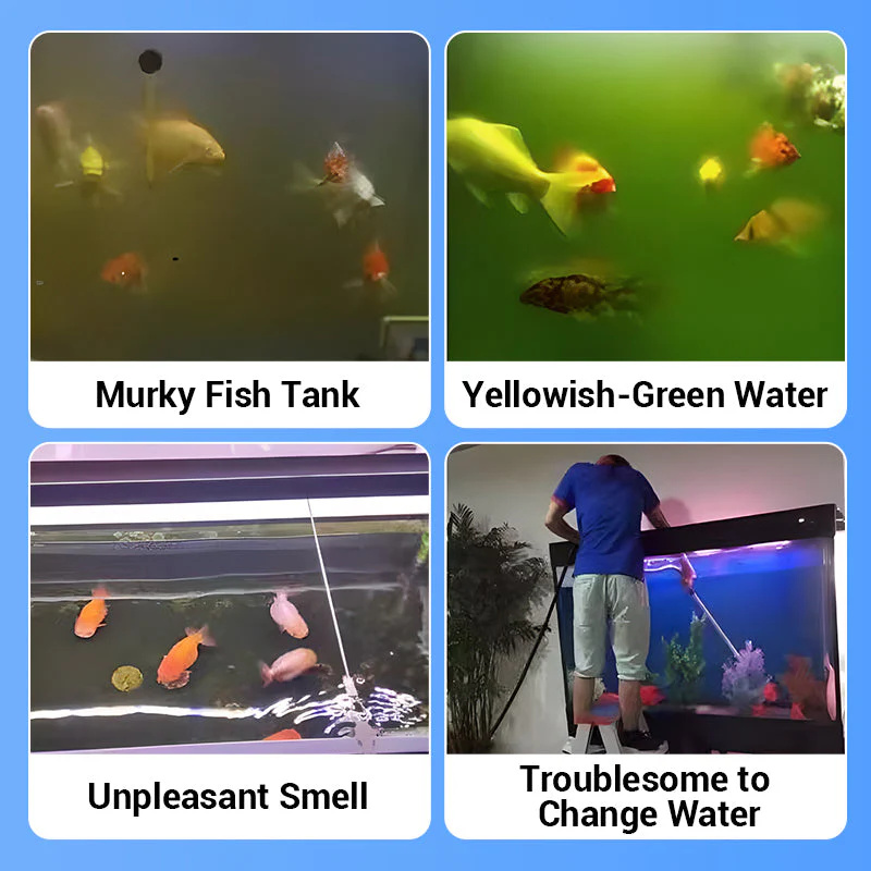 Eco-Friendly Aquarium Water Pu - Aquarium Plant Seeds review and price