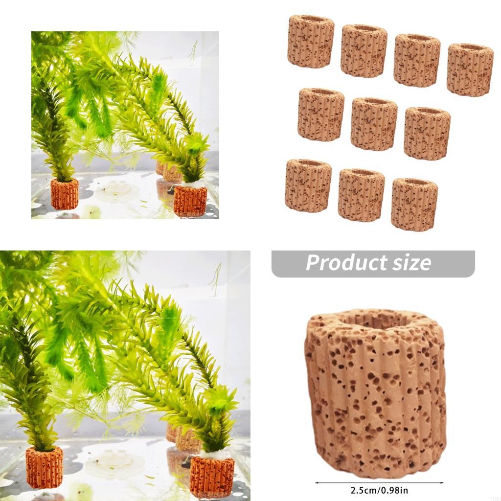 F19B Paottery Aquariums Plant  - Emersed Plants Aquarium review and price