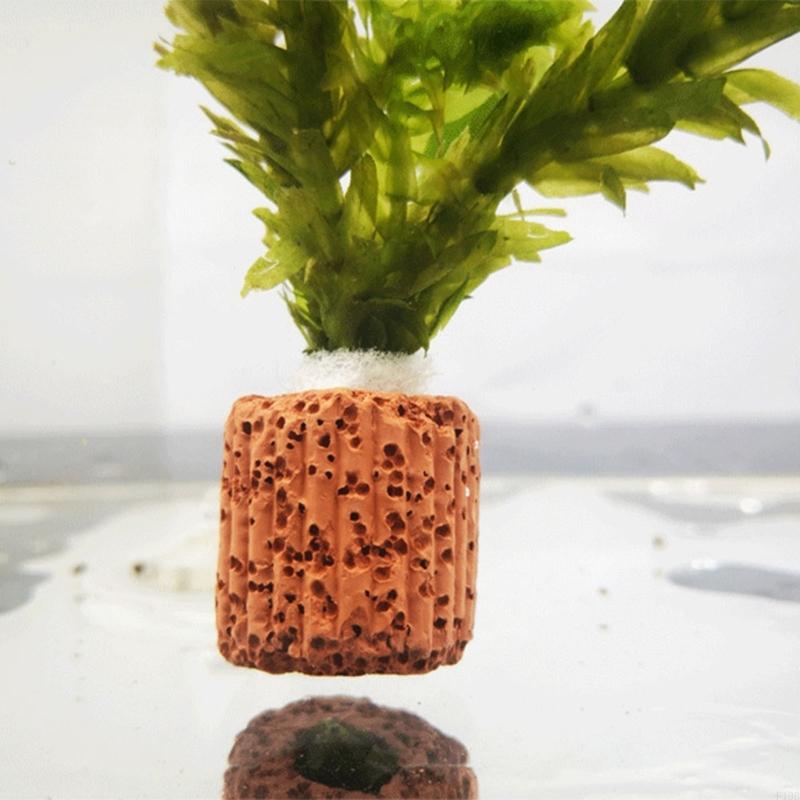 F19B Paottery Aquariums Plant  - Emersed Plants Aquarium review and price
