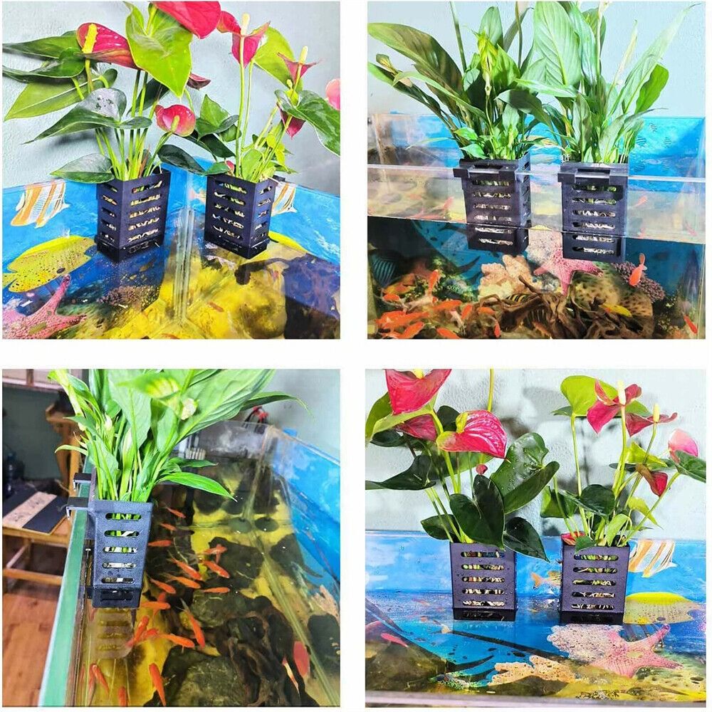 Water Plant Landscape Aquarium - Emersed Plants Aquarium review and price