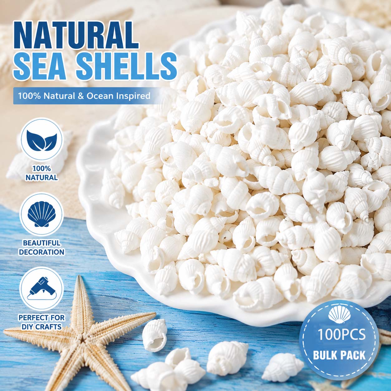 Natural White Mini Sea Shells  - Planted Aquarium Making review and price